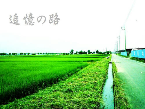 追憶の路