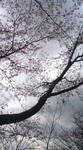 080331_1201~01.jpg