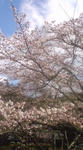 080331_1302~01.jpg