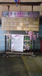 cffab863.jpg
