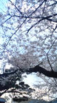 080331_1638~03.jpg