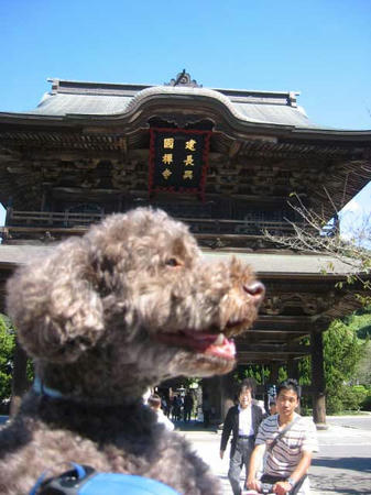 建長寺