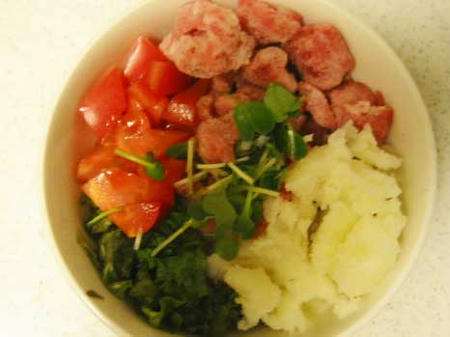 手作り犬ごはん　ターキーとポテトサラダ