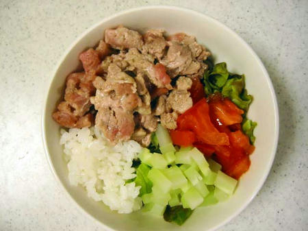 手作り犬ごはん　タコライス風ごはん