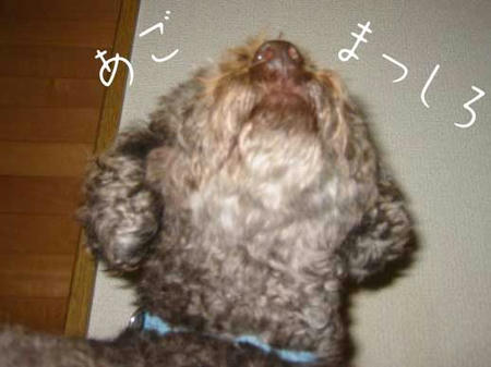 あご白