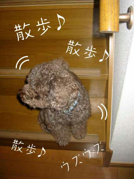 階段で待つ.jpg