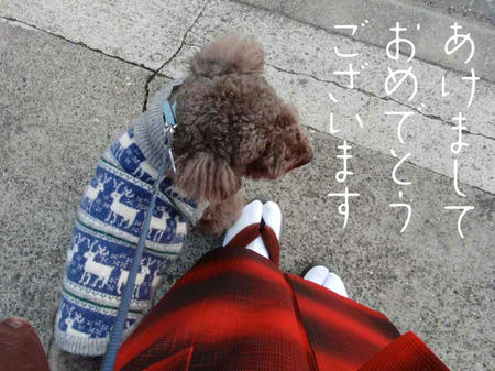 あけましておめでとうございます