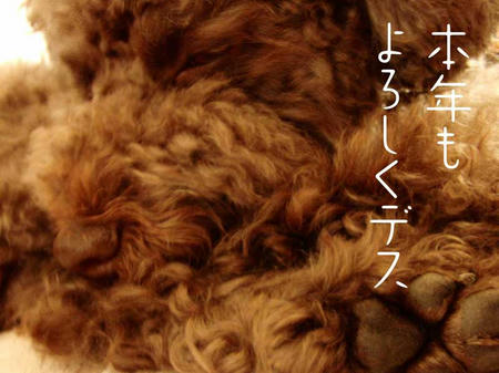 本年もどうぞよろしく