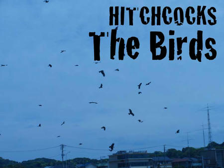 the birds