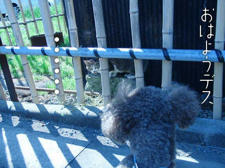 100531_3.jpg