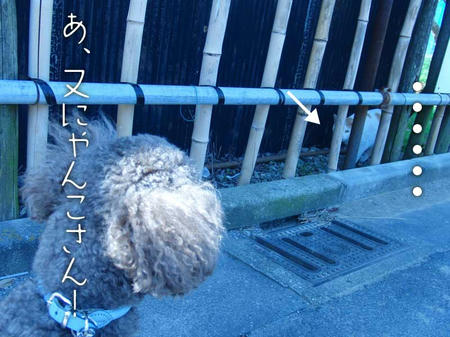 100531_4.jpg