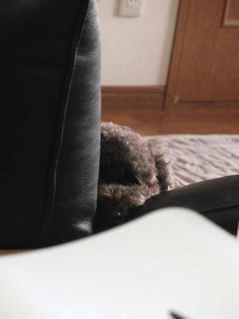 100629_02.jpg
