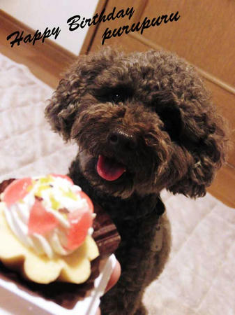 4才のお誕生日おめでとう!ぷるぷる