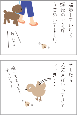 4コマ
