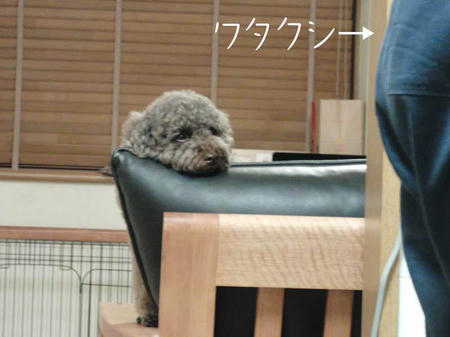キッチンに立っているワタシ
