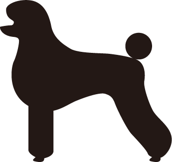 トリミング教室 頭の毛 しっぽがぷるぷる 手作り犬ごはん