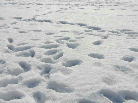 110209_07.jpg