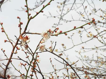 110222_6.jpg