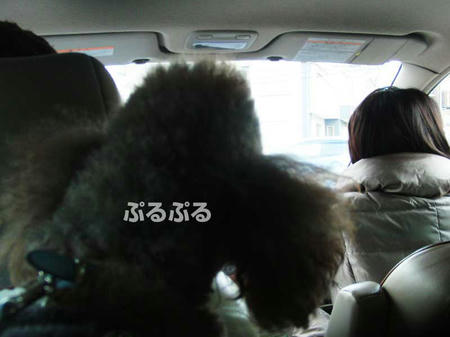 110222_7.jpg