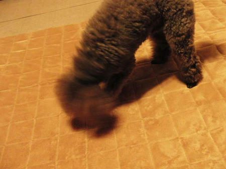 110224_3.jpg