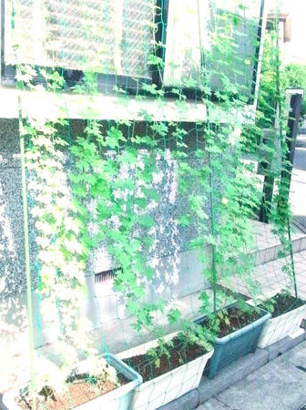 110804_3.jpg