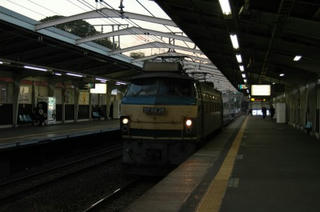 DSC_4007.jpg
