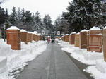 RIMG0151.jpg