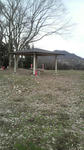 20100403_3.jpg