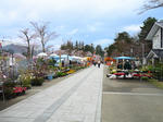 20100505-01.jpg