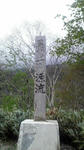 20100607-1.jpg