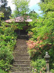 20100614-3.jpg