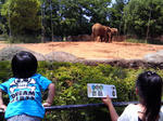 201006261201000.jpg