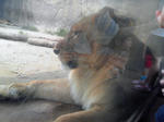 201006261259000.jpg