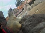201006261310000.jpg