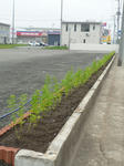 20100729-1.jpg