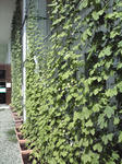 20100818-2.jpg