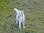 20100928-7.jpg