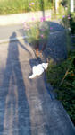 20100928-8.jpg