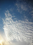 20100928-9.jpg