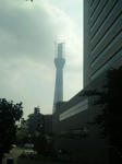 63c9419a.jpg