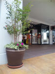 20101019-1.jpg