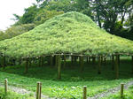 20101028-5.jpg