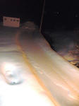 20110310-1.jpg