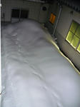 20110310-2.jpg
