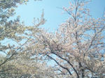 100503_133721.jpg