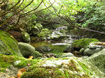 IMG_0091.JPG