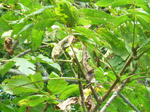 20121016_2.jpg