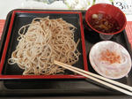 P7130466-1.jpg