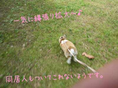 0e02a3d8.jpg