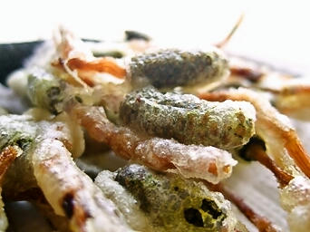 foodpic1060103.jpg